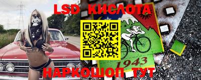 крисы Абакан