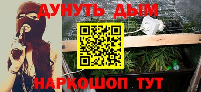 крисы Абакан
