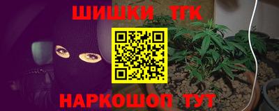 крисы Абакан