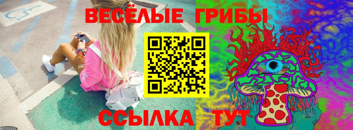 купить наркотик  Галлюциногенные грибы GOLDEN TEACHER  Вход с VPN  Амурск 